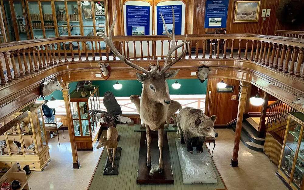 Banff Park Museum