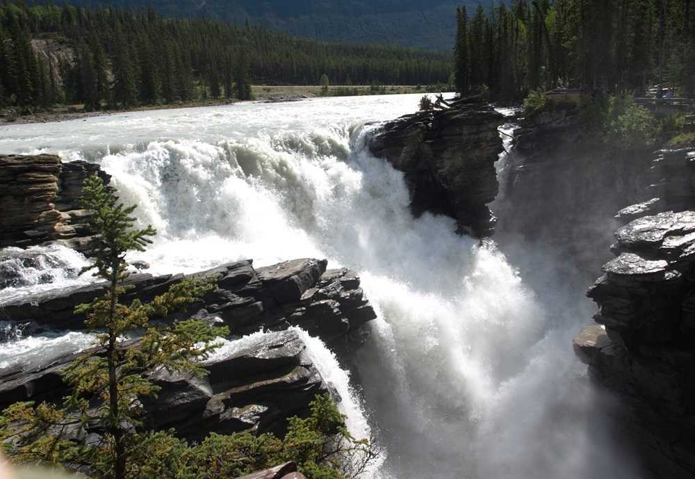 A powerful river waterfall cascades over rocky cliffs surrounded by dense forests and mountains in the background, reminiscent of the breathtaking Athabasca Falls in Jasper National Park.