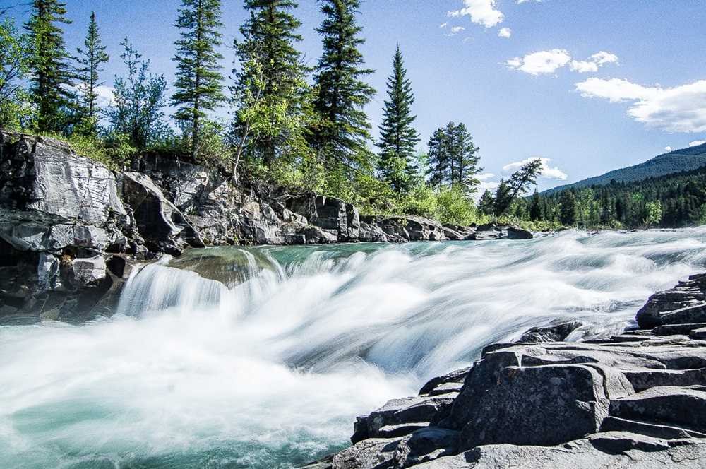 A river with rapid flowing water surrounded by rocky banks and pine trees on a sunny day with a blue sky, reminiscent of the breathtaking Sunwapta Falls in Jasper National Park.