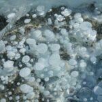 Frozen methane bubbles trapped under the surface of Abraham Lake's ice-covered expanse.